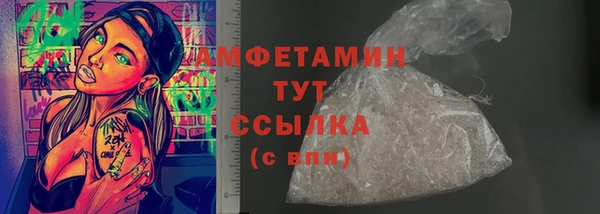 индика Нея