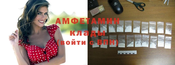 индика Нея