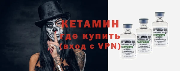 индика Нея