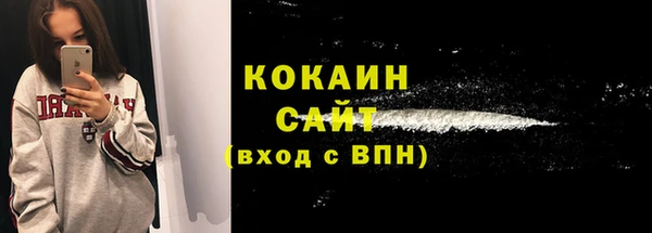 индика Нея