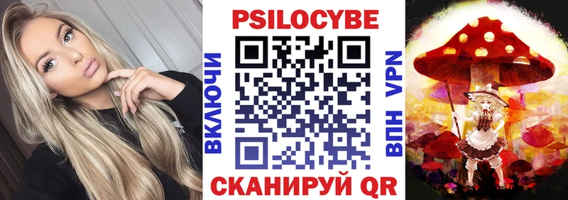 OMG ссылки  Бийск  Псилоцибиновые грибы Psilocybine cubensis 