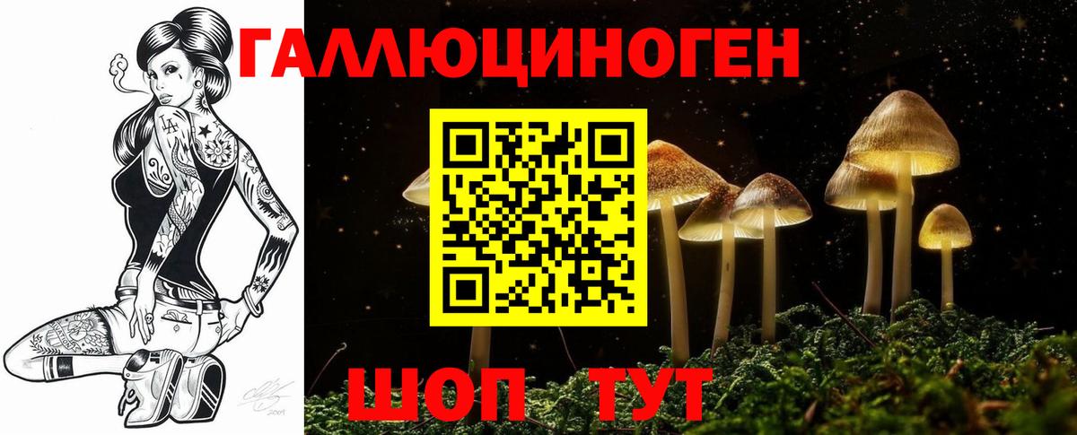 Бийск  Галлюциногенные грибы мицелий  Вход с VPN 